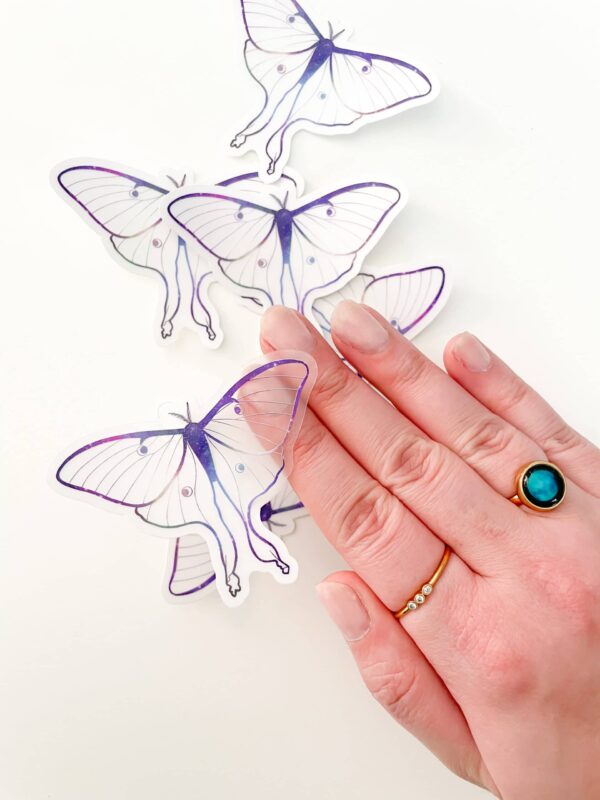 Luna Moth clear stickers by Astraluna Arts. Clear Luna Moth sticker.